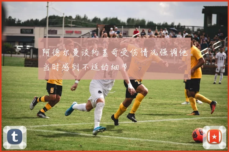阿德尔曼谈约基奇受伤情况强调他当时感到不适的细节